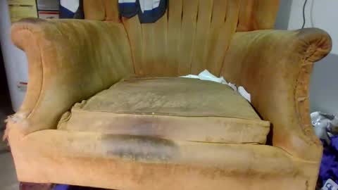 pspee313 online show from November 2025 11:18:01 PM