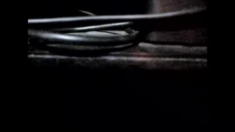StefiTV1 online show from June 2026 03:21:02 AM