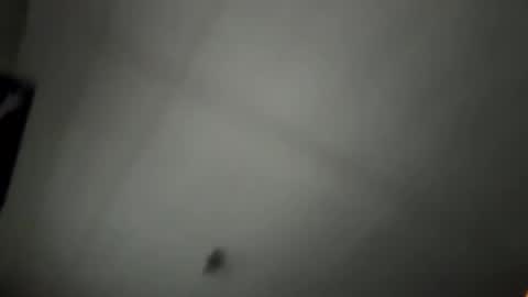 pufftropica online show from January 2026 03:36:02 PM