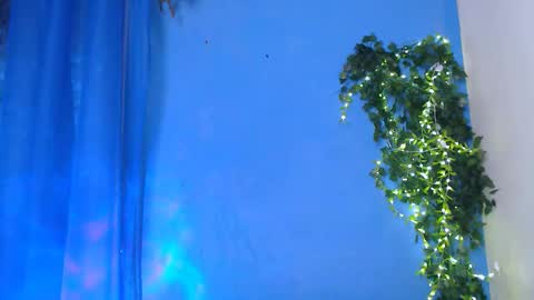 EsteticHouse online show from March 2026 02:55:02 PM