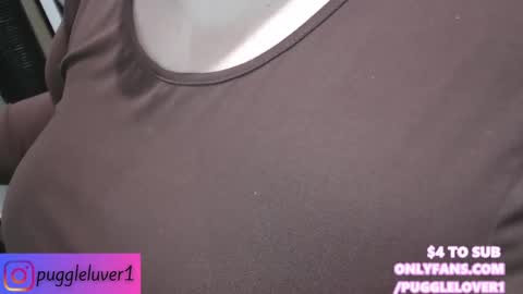 Snapshot of pugglelover chatting on February 2025 11:58:02 PM Puggie - online show from February 2025 11:58:02 PM