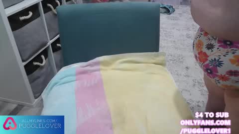 Snapshot of pugglelover chatting on March 2025 12:45:01 PM Puggie - online show from March 2025 12:45:01 PM