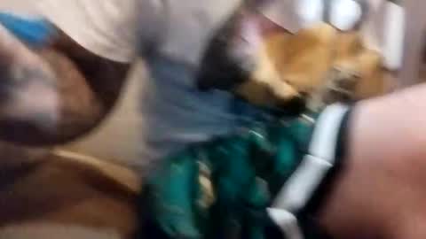 pumapumping online show from October 2025 11:14:02 PM