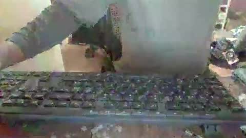 pup_y online show from December 2025 06:56:01 PM