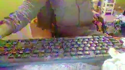 pup_y online show from December 2025 06:49:02 PM