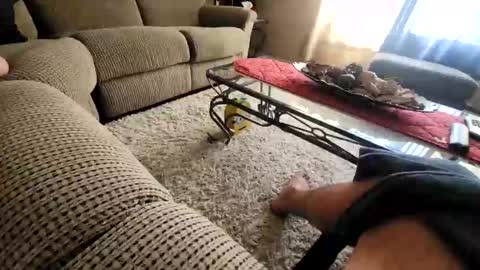 purdyguy7777 online show from March 2026 07:52:01 PM