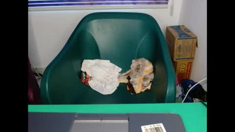 Snapshot of pussyispinkx chatting on November 2025 08:57:01 AM pussyispinkx online show from November 2025 08:57:01 AM