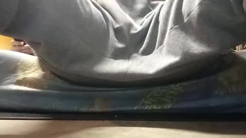 pussylver21 online show from January 2026 02:04:02 AM