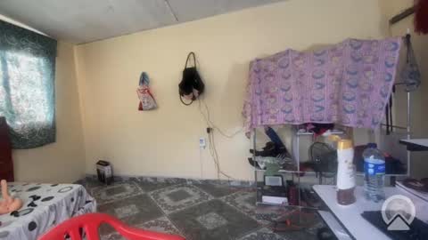 Snapshot of putiputisexo chatting on May 2026 09:31:01 PM putinaicolls online show from May 2026 09:31:01 PM