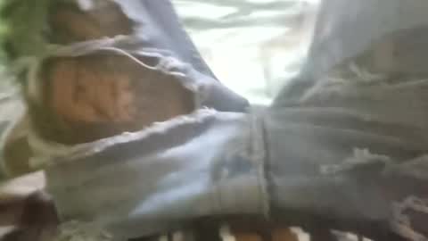 pyguygr online show from April 2026 02:31:01 AM