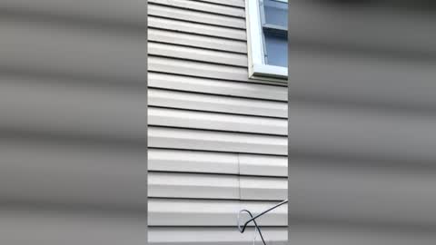 pyrex8 online show from April 2026 11:36:01 AM