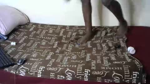 melly online show from January 2025 09:10:02 AM