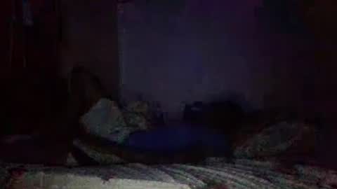 quuwavvy online show from October 2025 04:54:01 AM