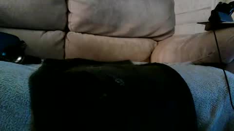 Snapshot of r3710 chatting on December 2024 06:28:01 PM Bi daddy online show from December 2024 06:28:01 PM