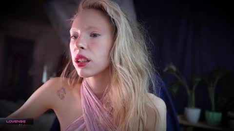 ada online show from November 2025 09:42:02 AM