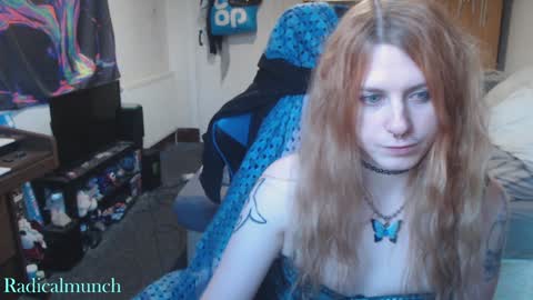 Munchkin online show from December 2024 02:49:02 PM