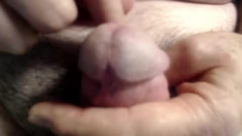 Ray online show from November 2025 01:45:01 PM