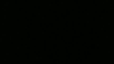 hornybluecollar online show from December 2024 12:39:01 AM