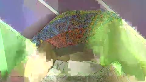 rainbow baby26 online show from November 2025 07:18:02 PM