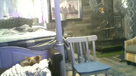 Snapshot of randybater8in chatting on June 2026 02:03:01 AM Randy8inbater online show from June 2026 02:03:01 AM