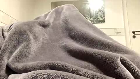 ranj00800 online show from December 2025 05:19:02 PM