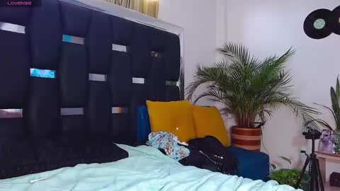 Snapshot of raydevil_ chatting on January 2025 06:57:01 PM Rayn online show from January 2025 06:57:01 PM