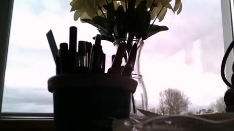 Snapshot of rdrew chatting on April 2026 03:46:01 PM rdrew online show from April 2026 03:46:01 PM