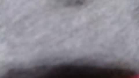 ready2fuk647232 online show from November 2025 09:44:02 AM