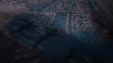 realrubpirate online show from March 2026 07:56:01 AM