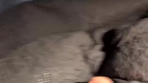 Snapshot of rebornbutbored chatting on November 2025 11:40:02 AM rebornbutbored online show from November 2025 11:40:02 AM