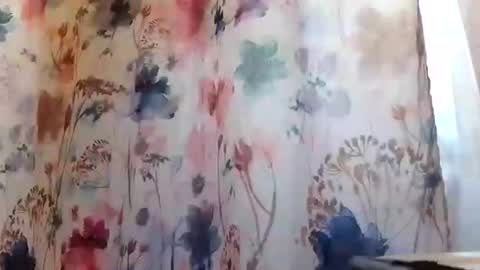 recka810 online show from February 2025 09:42:02 PM