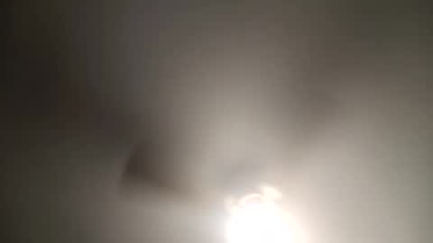 red24devils online show from January 2025 03:34:02 AM