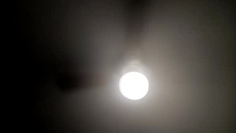 red24devils online show from January 2025 04:13:01 PM