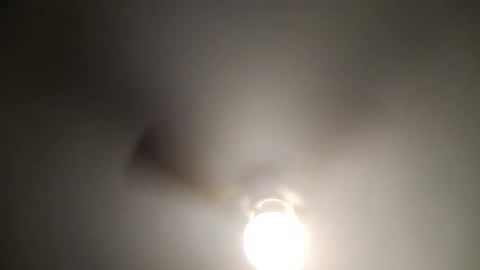 red24devils online show from January 2025 06:09:01 AM