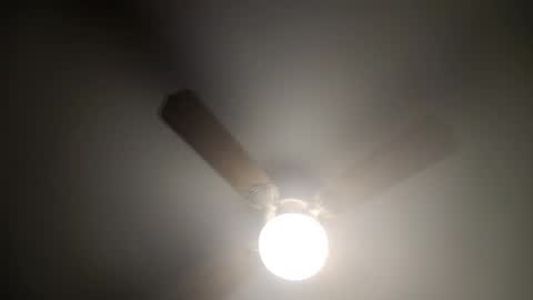 red24devils online show from February 2025 04:26:01 AM