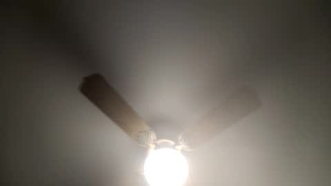 red24devils online show from March 2025 05:13:01 AM