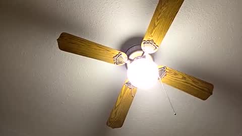 red24devils online show from September 2025 06:59:02 AM