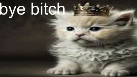 Snapshot of red_queeen chatting on December 2024 05:02:01 AM QUEEN OF EVIL online show from December 2024 05:02:01 AM
