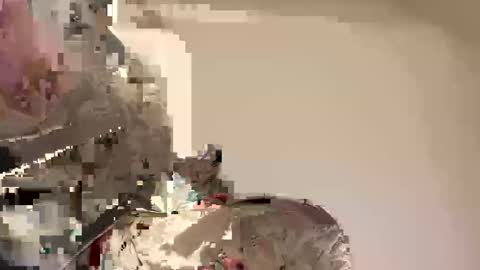 Snapshot of reddrockett69 chatting on April 2026 08:57:02 PM Ali j online show from April 2026 08:57:02 PM