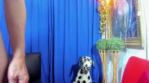 MIA online show from February 2025 04:04:01 PM