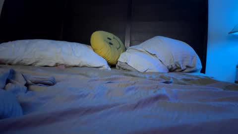 Lee online show from January 2025 06:26:01 AM