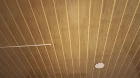 renaxi_smith online show from January 2026 07:50:01 PM