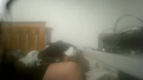 ricardll online show from July 2026 02:34:01 PM