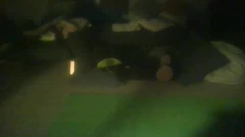Snapshot of richardspit chatting on January 2026 05:54:02 AM richardspit online show from January 2026 05:54:02 AM