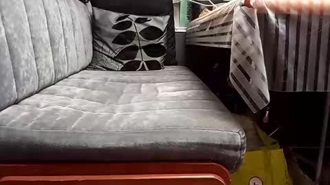 FireLion online show from April 2026 09:37:01 AM