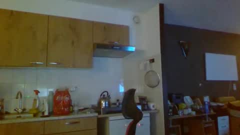 rikkerd55 online show from January 2026 05:27:02 PM