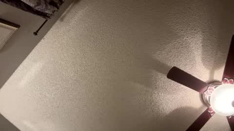 BwC4Breed online show from January 2025 11:35:01 AM