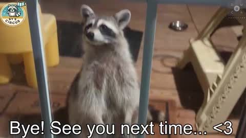 Ryan aka KeylimeRy online show from October 2025 12:52:02 AM