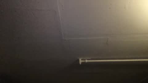 RoastingCorn online show from December 2024 11:11:02 AM