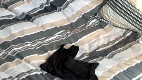 rob616580 online show from January 2026 10:53:01 AM